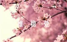加強(qiáng)民族團(tuán)結(jié)維穩(wěn)處突應(yīng)急預(yù)案集合4篇