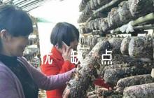 干部考察優(yōu)缺點(diǎn)評(píng)語范文(通用4篇)