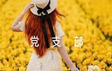 黨支部意見(jiàn)簡(jiǎn)短評(píng)語(yǔ)范文(精選4篇)