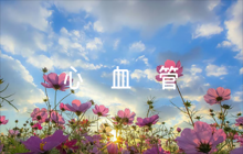 關于心血管內科輪轉評語【四篇】