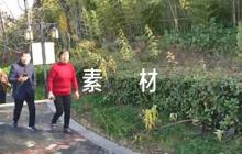 谷愛凌的作文素材【六篇】