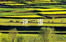 醫(yī)學(xué)帶教老師評(píng)語(yǔ)五篇