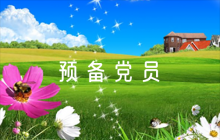 預(yù)備黨員轉(zhuǎn)正評(píng)語(yǔ)集合5篇