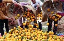 初中語(yǔ)文聽課評(píng)語(yǔ)范文六篇