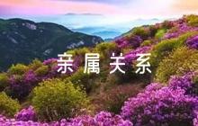 村委會(huì)親屬關(guān)系證明完整范文(精選5篇)