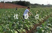 領(lǐng)導(dǎo)干部考察優(yōu)缺點評語范文五篇