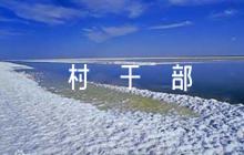 簡短評價駐村干部評語5篇