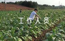 關(guān)于社區(qū)工作人員考核評語簡短【五篇】