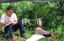 工作表現(xiàn)評(píng)語(yǔ)范文五篇