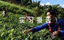 護理實習報告1000字(通用7篇)