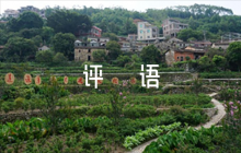 學(xué)生在社區(qū)表現(xiàn)評(píng)語(yǔ)范文五篇