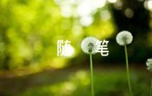 立春隨筆200字范文(精選5篇)