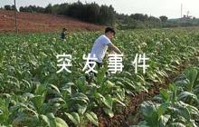 幼兒園2023年突發(fā)事件安全應(yīng)急預(yù)案六篇