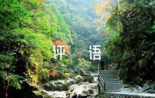 工作表現(xiàn)評語【五篇】