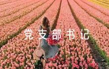 黨支部書記意見建議簡短評語范文六篇