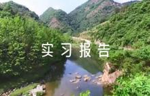工程造價實習報告【5篇】