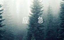 疫情防控乙類乙管應(yīng)急預(yù)案(通用5篇)
