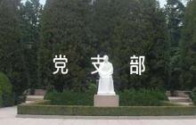 黨支部意見建議簡短評語范文(通用5篇)