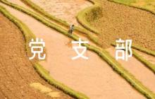 民主評(píng)議黨支部評(píng)語(yǔ)6篇