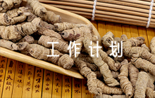 2023年意識形態(tài)工作計劃六篇