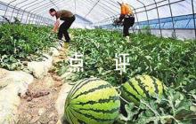 2023年時(shí)政新聞?wù)包c(diǎn)評【6篇】