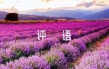 教學實踐導師評語【六篇】