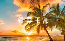 領導干部德行表現(xiàn)評語十篇