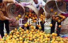 保密下一步工作計劃范文六篇