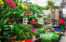 評(píng)價(jià)發(fā)展對(duì)象的評(píng)語(yǔ)【七篇】