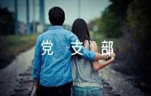 黨支部意見(jiàn)簡(jiǎn)短評(píng)語(yǔ)50字6篇
