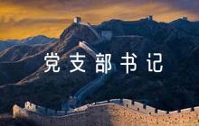 黨支部書(shū)記意見(jiàn)建議簡(jiǎn)短評(píng)語(yǔ)【6篇】