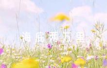 海底兩萬(wàn)里航海日記100字9篇