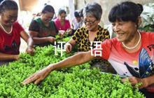 關(guān)于班委鑒定評語200字【六篇】