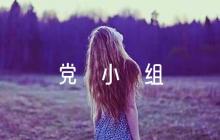 黨小組意見簡短評語【9篇】