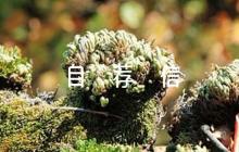 關(guān)于大學(xué)綜合評(píng)價(jià)自薦信【六篇】