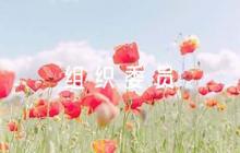 組織委員考察記錄評語(通用8篇)