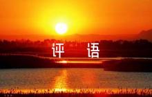 關(guān)于道德與法治評課評語【六篇】