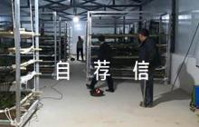 西南大學(xué)自薦信高校專項(xiàng)7篇