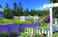 最近一周新聞大事摘抄(通用6篇)