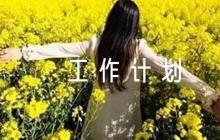 電信黨支部全年工作計(jì)劃【六篇】