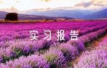 市場(chǎng)監(jiān)督管理局實(shí)習(xí)報(bào)告范文(精選6篇)