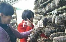 發(fā)展對象意見評語100字6篇