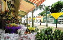 廉潔主題的散文6篇