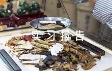 工程造價(jià)實(shí)習(xí)報(bào)告優(yōu)秀6篇