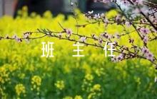 班主任評語50字六篇