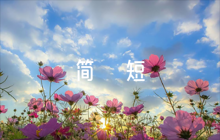 考察干部德能勤績廉簡短評語(通用6篇)