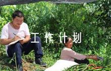 主題教育工作計(jì)劃范文(精選6篇)