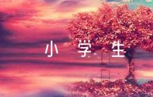 2023年新聞小學(xué)生摘抄范文(通用6篇)