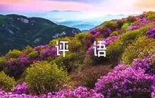 勞動(dòng)感悟家長(zhǎng)評(píng)語(yǔ)六篇
