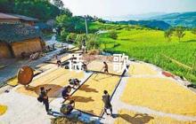 歌頌中國(guó)的詩(shī)歌六篇